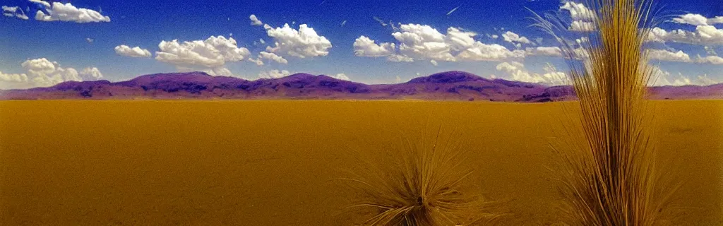 Prompt: tall yellow grass valley, desert in the distance, crashed spaceship, by charles calvert