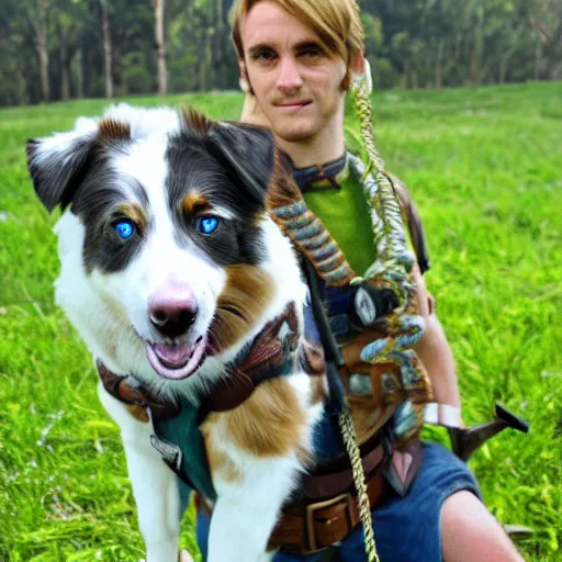 Prompt: australian shepherd with link, breath of the wild style