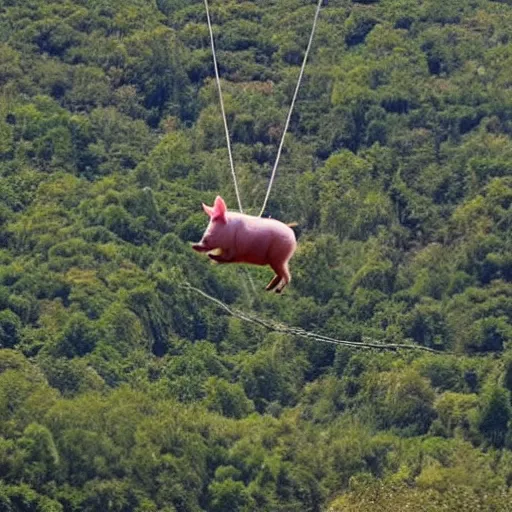 Prompt: a pig doing a bungee jump