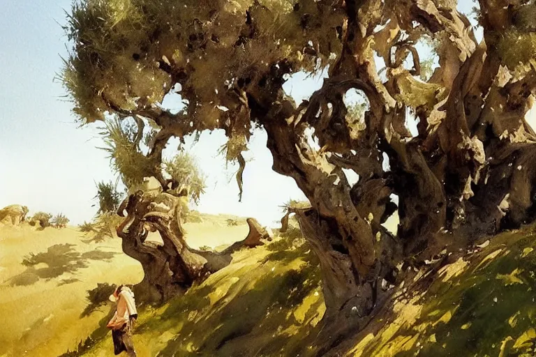 Prompt: watercolor painting of olive tree on hillside, art by hans gude, art by hans dahl, by jesper ejsing, art by anders zorn, wonderful masterpiece by greg rutkowski, cinematic light, american romanticism by greg manchess, creation by tyler edlin
