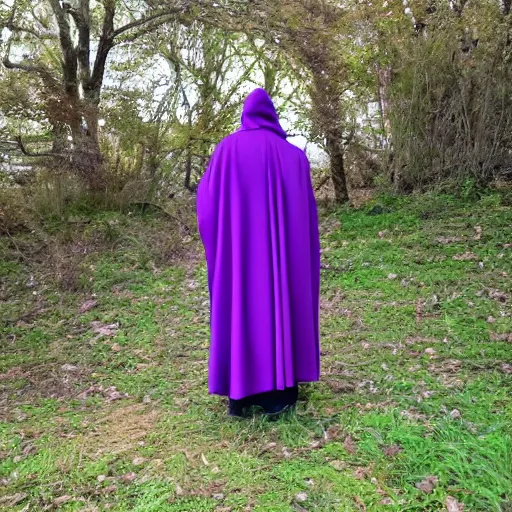 Image similar to purple cloak, full body