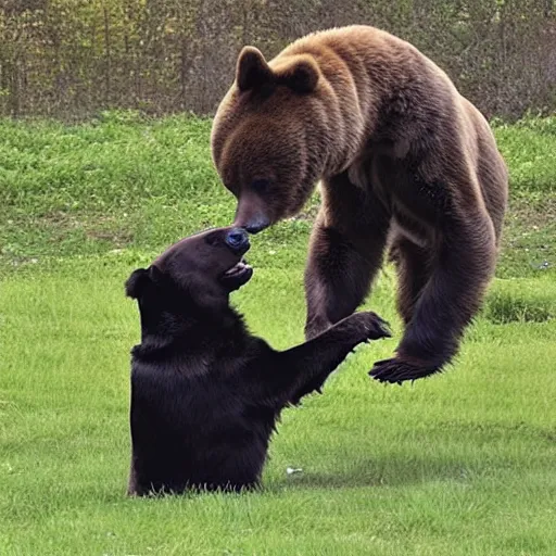 Image similar to a dog bullying a bear