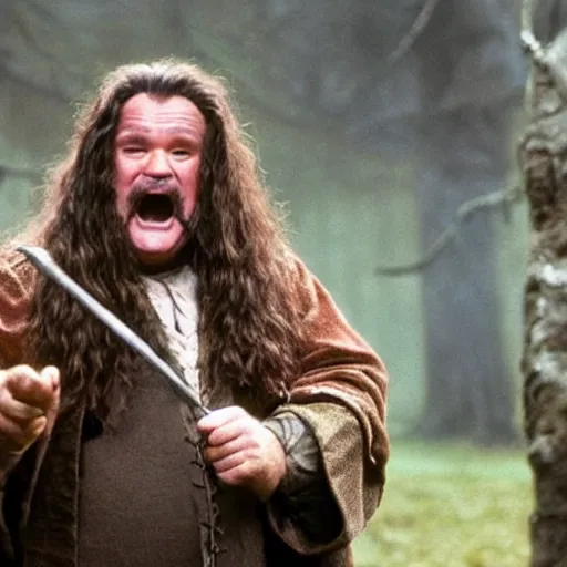 Prompt: Robin Williams playing Hagrid in Harry Potter, screenshot