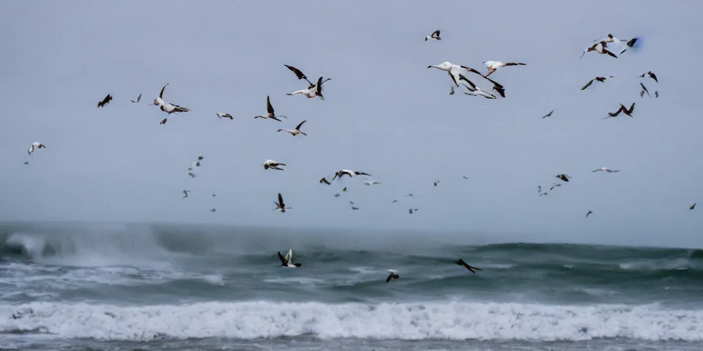 Image similar to seagulls flying above a rough surf