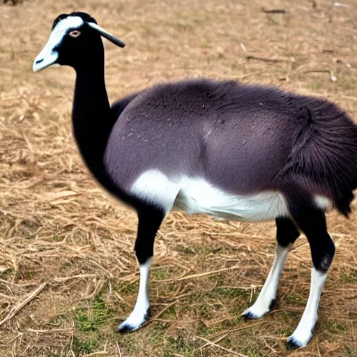 Image similar to goose goat hybrid