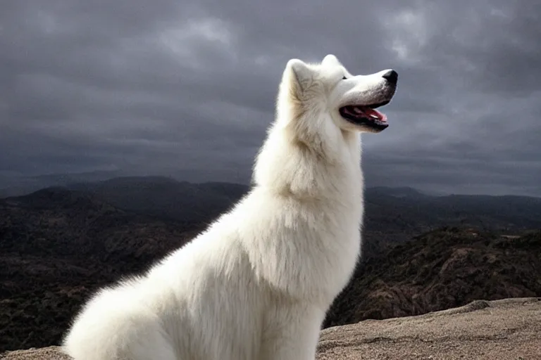 Image similar to a Samoyed Howling at the Universe