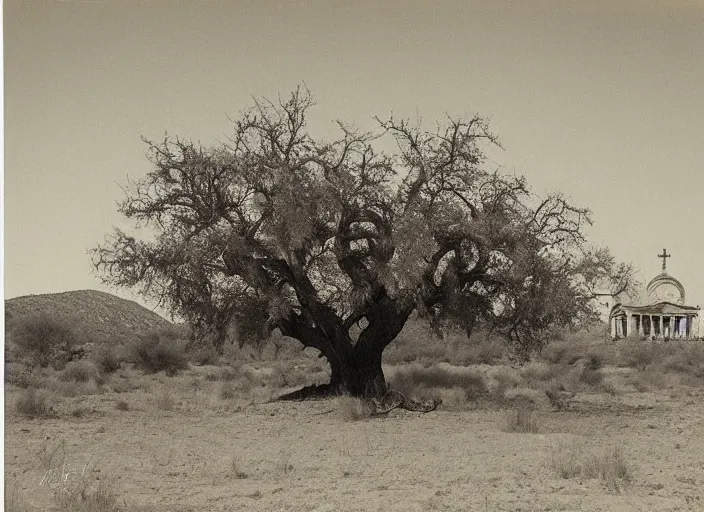 Prompt: Big mexican church next to an oak tree in a grassy flat desert, albumen silver print by Timothy H. O'Sullivan.