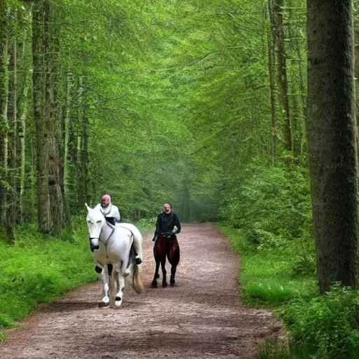 Image similar to An English knight in shining armor is riding a white horse along a path through a forest. It's noon. The sun shines brightly through the trees.