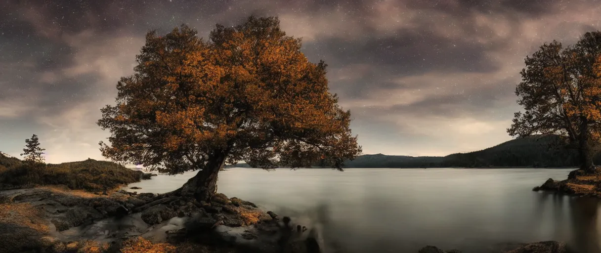 Image similar to Tree, mountains, river, landscape, photo, universe in the sky, cinematic lighting, 4k, wide angle, warm tones, Earth, wind, reflections