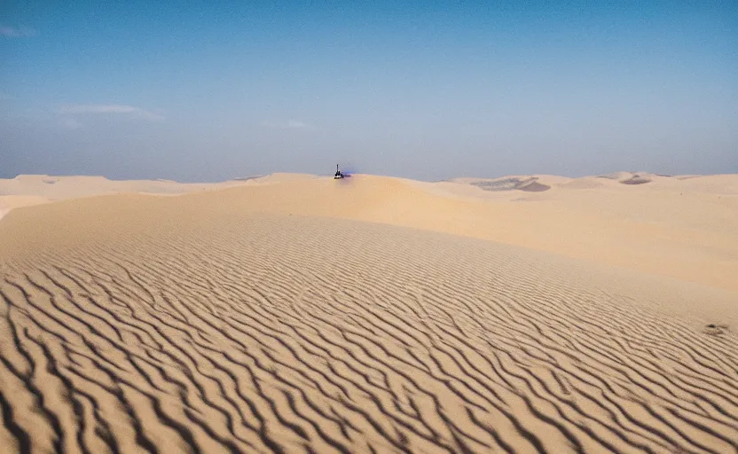 Prompt: 🐋 in sand dunes, photography