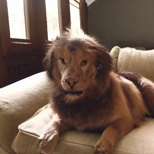 Image similar to cozy older handsome lord richard is sitting gracefully on a sofa, he has elegant