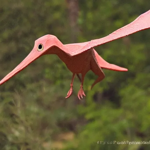 Image similar to pascal the pterodactyl