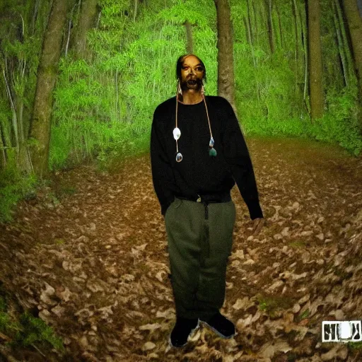 Image similar to snoop dogg caught on midnight trail cam