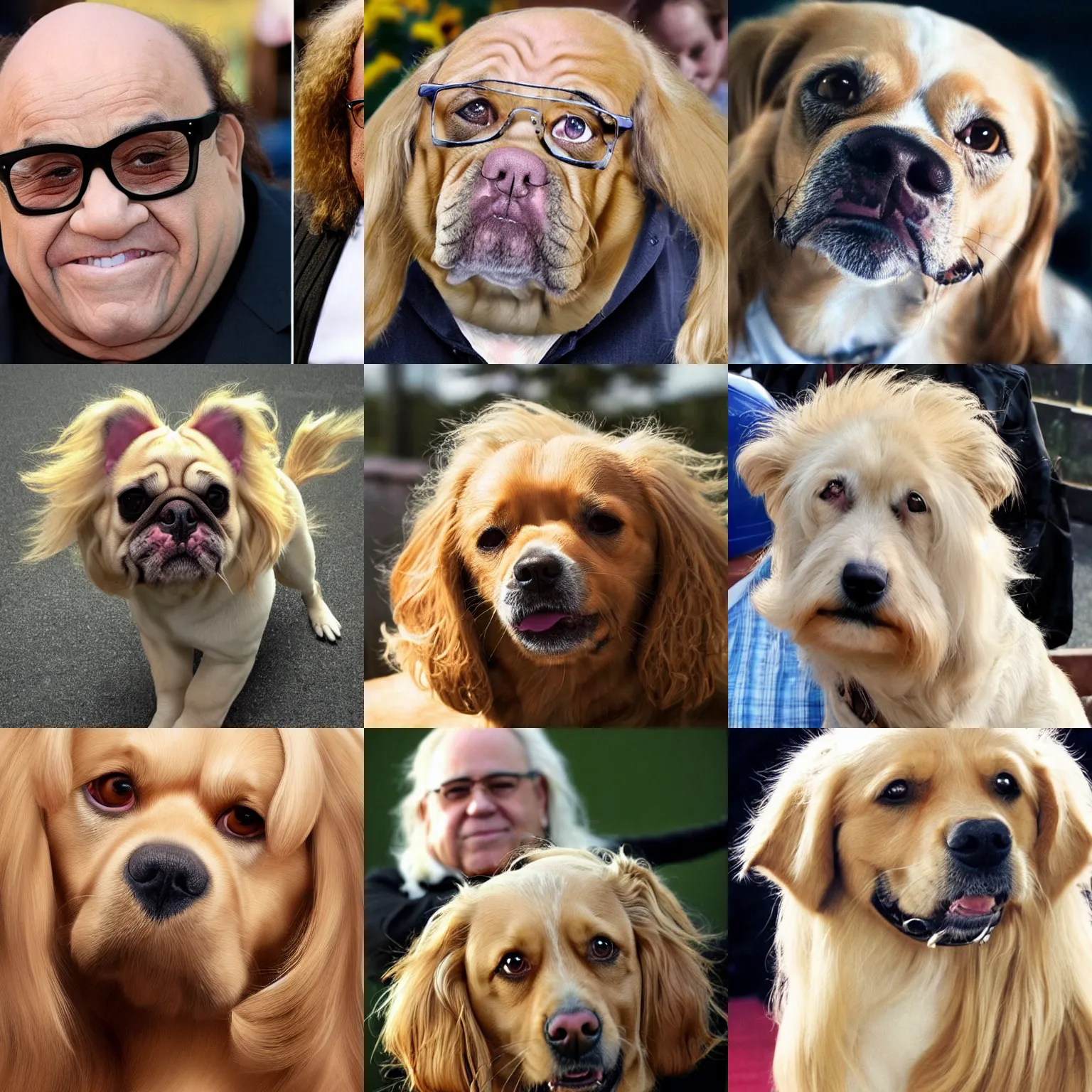 Prompt: a dog with danny devito's face, long blond hair, hd