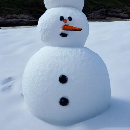 Prompt: snowman on a beach