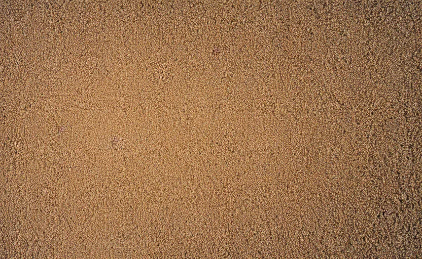 Image similar to top view of beach sand, natural light, cinematic lighting, 8 k