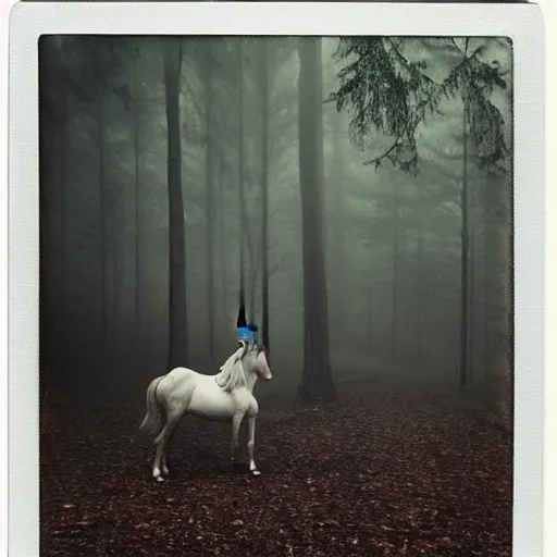 Image similar to wounded young unicorn in a foggy forest, polaroid photography in style of andrey tarkovski, spiritual, mystical, sublime