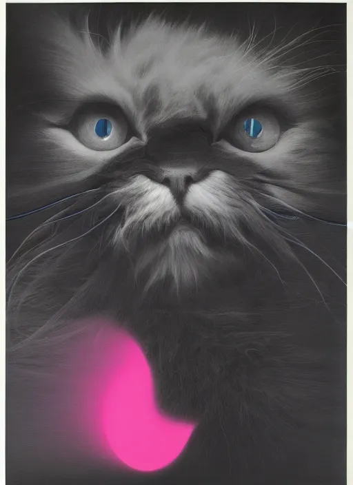 Image similar to futuristic lasers tracing, laser cat, selkirk rex longhair, by steven meisel, kaws, rolf armstrong, mondrian, kandinsky, perfect geometry abstract acrylic, octane hyperrealism photorealistic airbrush collage painting, dark monochrome, fluorescent colors, minimalist rule of thirds, eighties eros