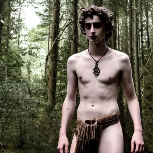 Image similar to timothee chalamet with loincloth, ominous, eerie forest in background