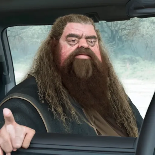 Prompt: hagrid driving seen from the front