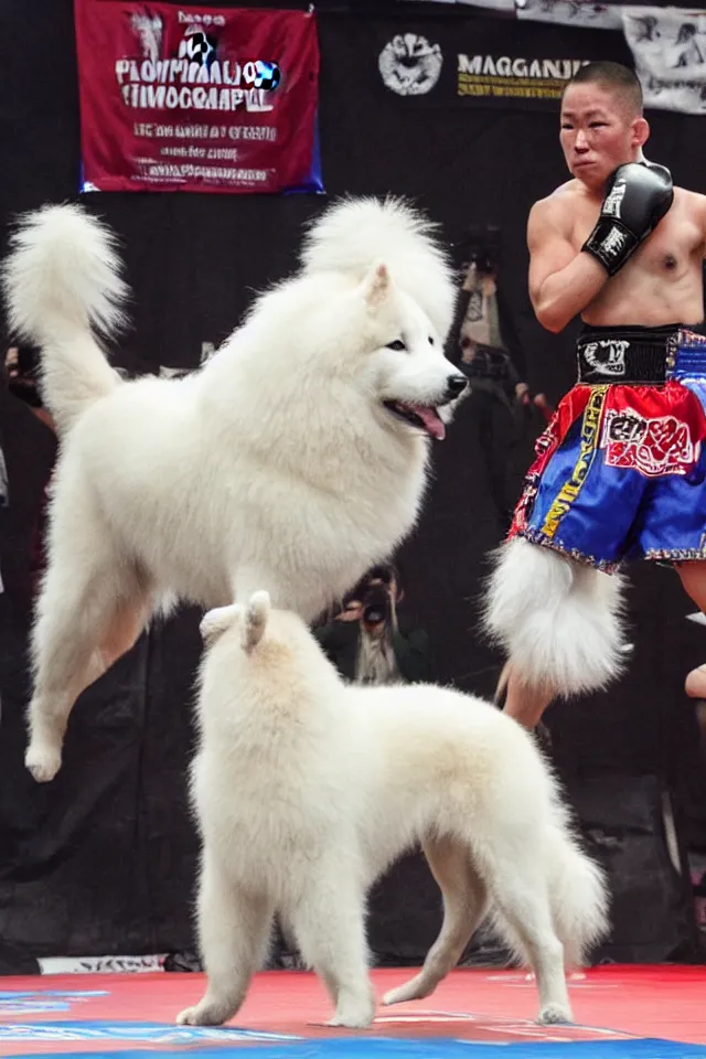 Prompt: samoyed dog competing in muay thai kickboxing world championship, photorealistic