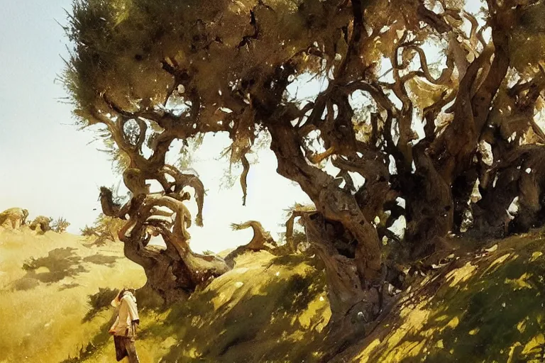 Prompt: watercolor painting of hillside olive tree, art by hans gude, art by hans dahl, by jesper ejsing, art by anders zorn, wonderful masterpiece by greg rutkowski, cinematic light, american romanticism by greg manchess, creation by tyler edlin