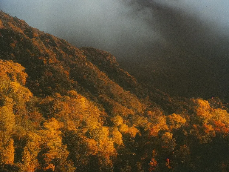 Prompt: 35mm film still magic morning light over mountains, autum, mist in valley, tropical forest, moody, by Alex grey