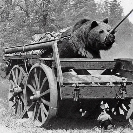 Image similar to a picture of a enormous bear pulling a towed artillery gun behind his back like a carriage, eastern front, historical picture