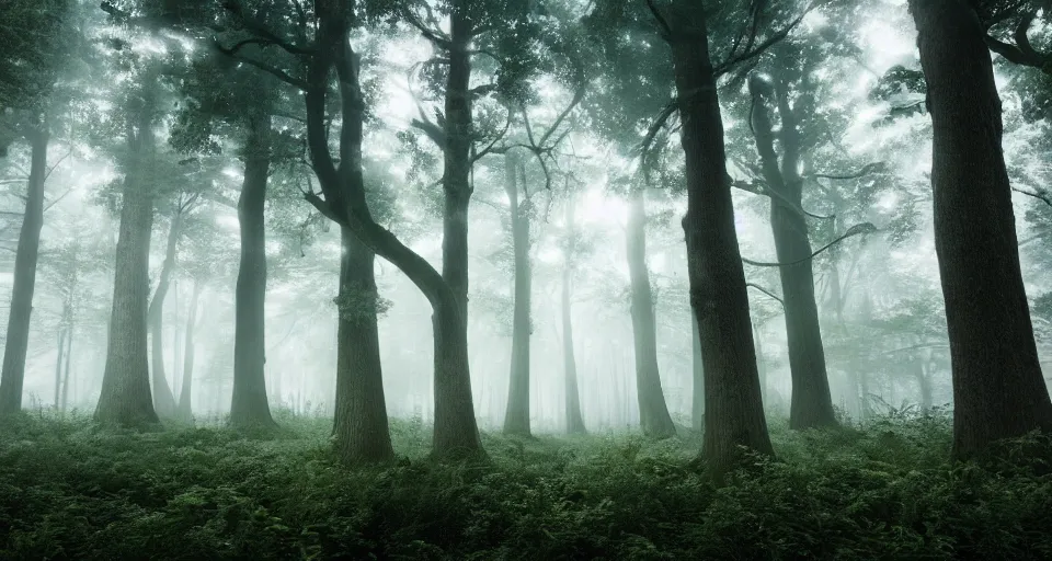 Image similar to a magical forest, thick fog, fireflies flying, big trees, epic lighting, cinematic 4K