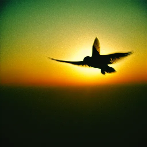 Prompt: Realistic POV shot of a dove flying over the clouds at sunset, ethereal, vintage photograph, film grain, surreal, awe-inspiring