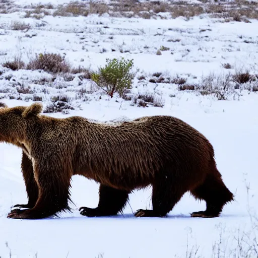 Image similar to Award Winning Nature photo Brown Bear Mothers Rabbits in snow in the mexican desert