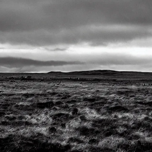 Image similar to a ww 2 photo of a battlefield in iceland. grainy, black and white, overcast sky.