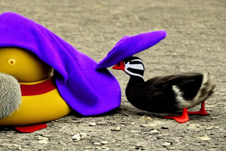 Image similar to duck wearing purple hat and cape and zoro mask by Roger Deakins