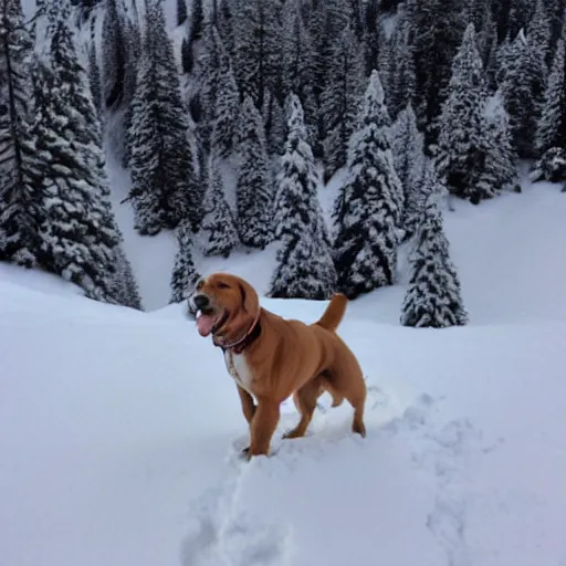 Prompt: a dog on the top of a snow mountain