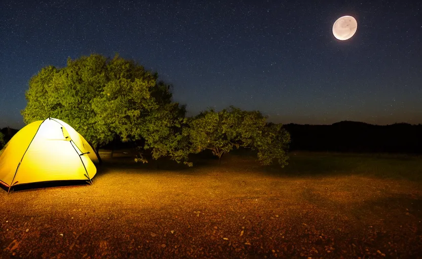 Prompt: night timelapse photography of a tent with a tree with the moon in the sky