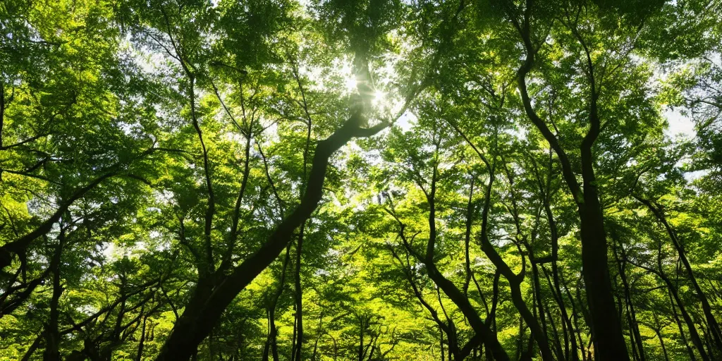 Prompt: a japanese forest on a sunny day