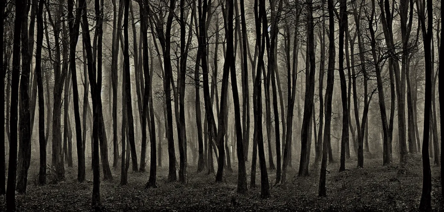 Image similar to dark forest by gerard justin