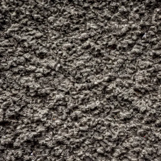 Prompt: High quality ground texture 4k detail