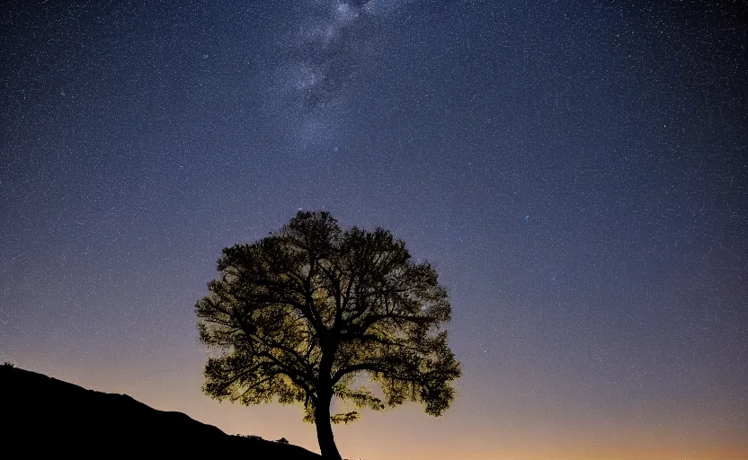 Image similar to night timelapse photography of many stars with a tree in foreground