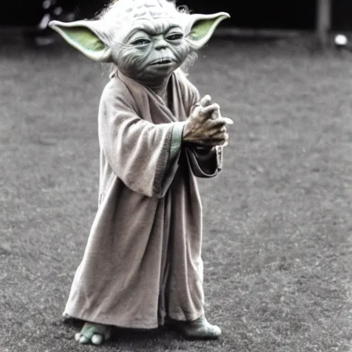 Image similar to yoda performing at woodstock