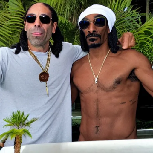 Image similar to joe rogan and snoop dogg chilling in aruba