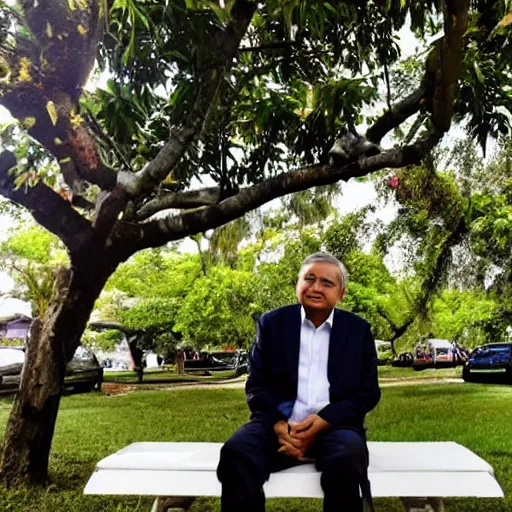 Prompt: Picture of Andres Manuel Lopez Obrador sitting on a park bench, underneath a mango tree