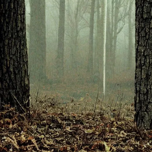 Prompt: blair witch project,