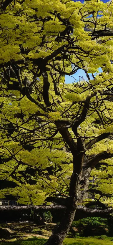 Image similar to “ a portrait photo of tyrannosaurus at a sakura tree, side shot, by shunji dodo, 8 k resolution, high quality ”