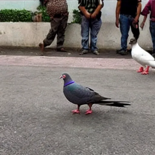 Prompt: pigeons from mexican cartel vs cat police