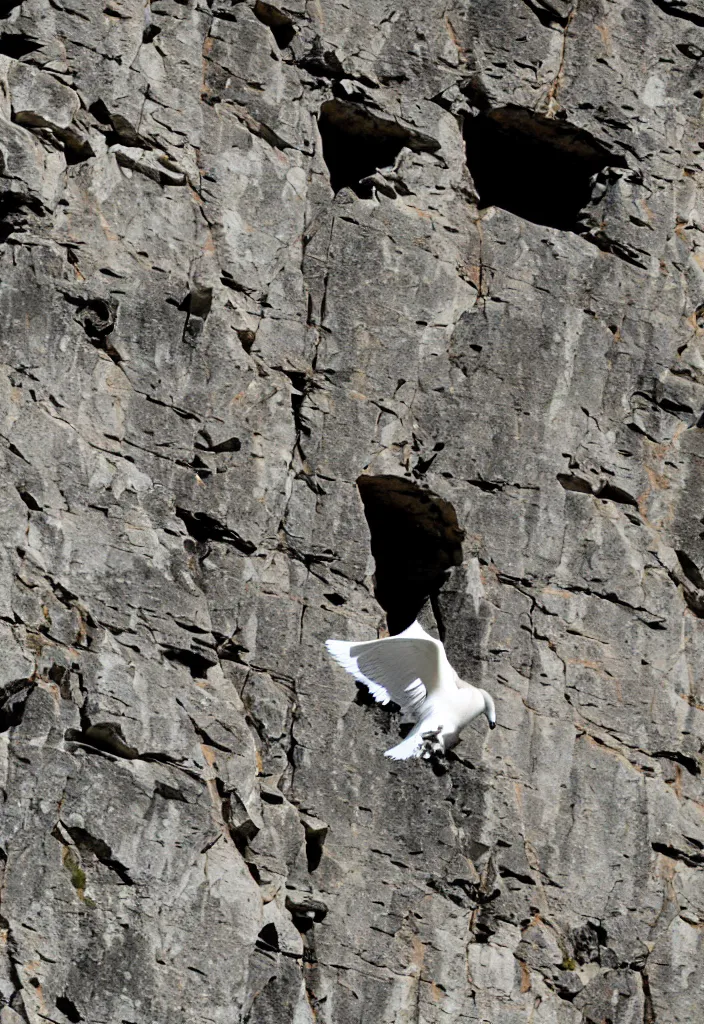 Image similar to a mountain goat flying an impossible distance through the air between two peaks | pure white doves flying in and out of a large chimney |