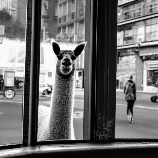 Prompt: <photobomb>alpaca</photobomb><photograph accurate=true quality=very-high>looking out the window at a busy city street</photograph>