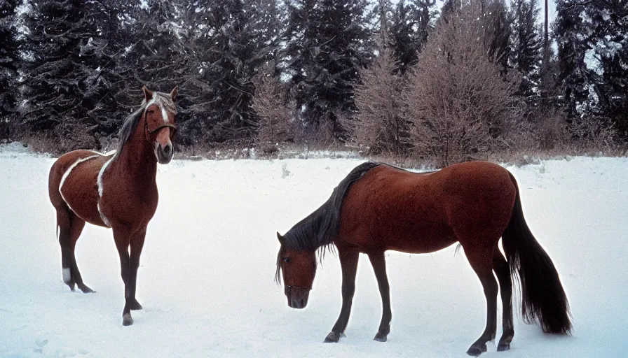 Image similar to 1 9 6 0 s movie still close up of marcus aurelius frozen to death under the snow, a horse frozen under the snow by the side of a river with gravel, pine forests, cinestill 8 0 0 t 3 5 mm, high quality, heavy grain, high detail, texture, dramatic light, anamorphic, hyperrealistic, detailed hair, foggy