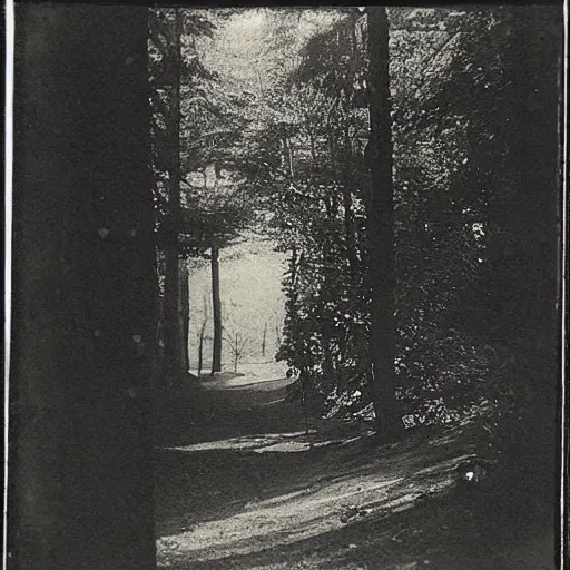 Prompt: shady liminal place, dreamy, 1 9 0 0's photo