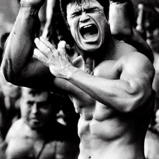 Image similar to hulk performing at woodstock